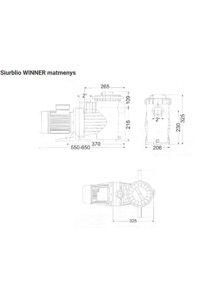 Cirkuliacinis vandens siurblys WINNER 300T 29 m3/h  